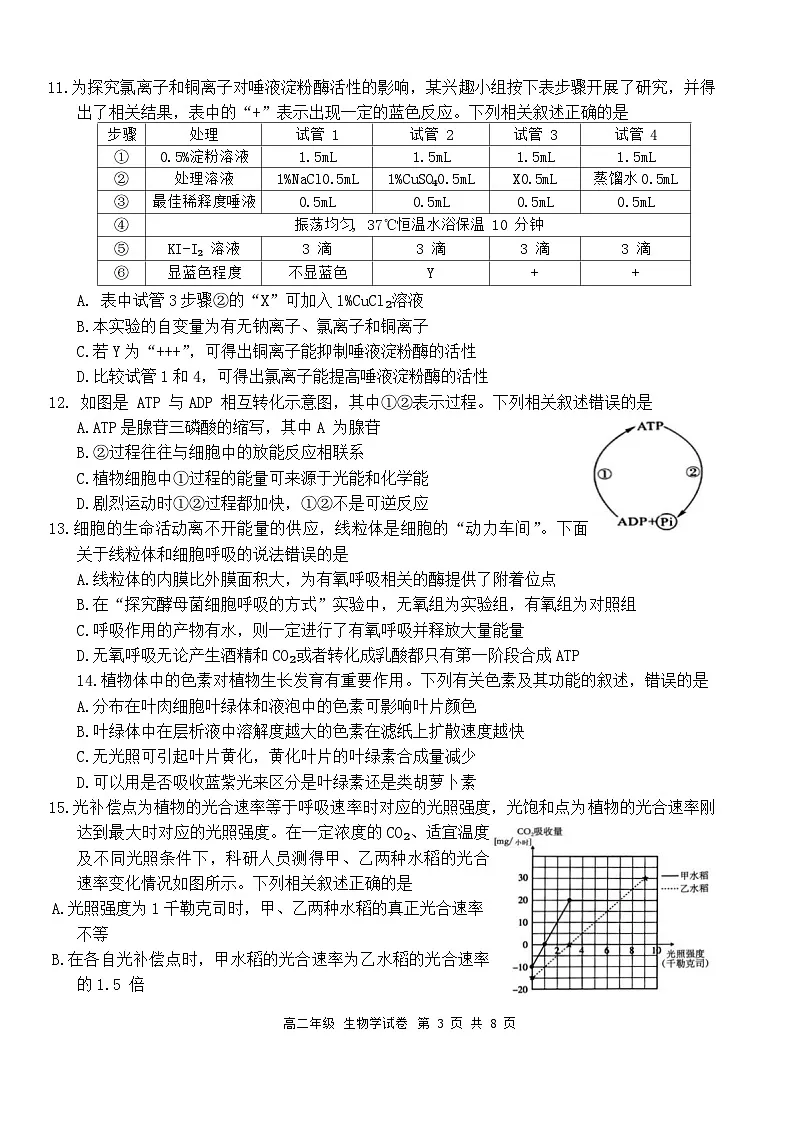 四川省宜宾市2023-2024学年高二下学期期末考试生物试题第3页