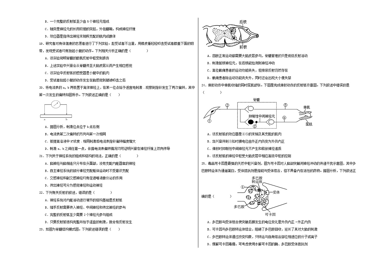 云南省昭通市镇雄县第一高级中学2023-2024年高二上学期第一次月考生物试题第3页