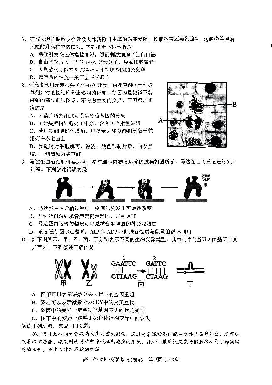 2024学年第一学期高二年级10月四校联考生物学科试题卷第2页