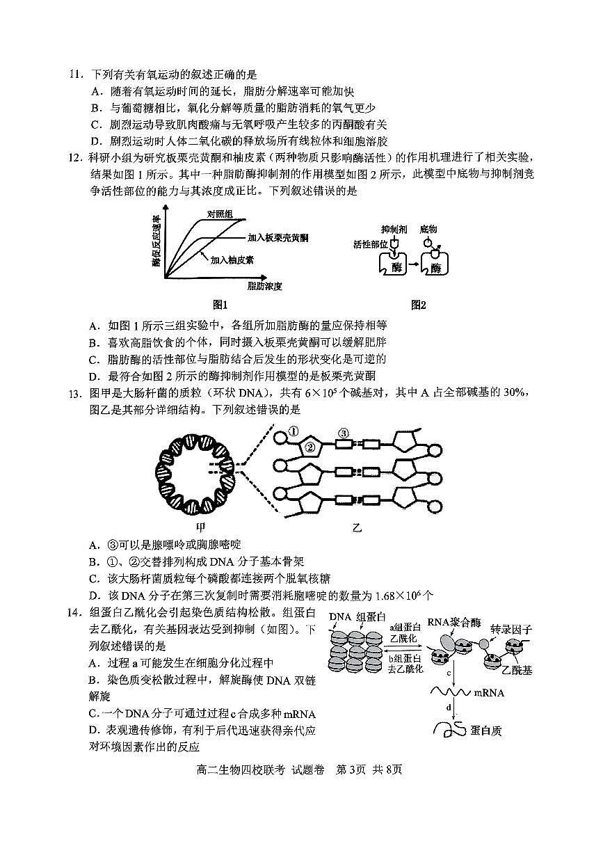 2024学年第一学期高二年级10月四校联考生物学科试题卷第3页