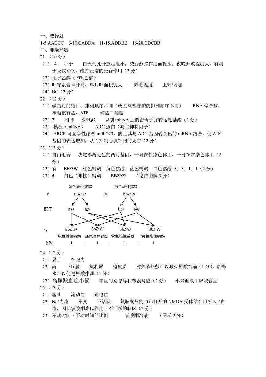 高二生物答案 (1)第1页