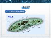 人教版 (新課標)高中生物必修1 1-1《從生物圈到細胞》課件