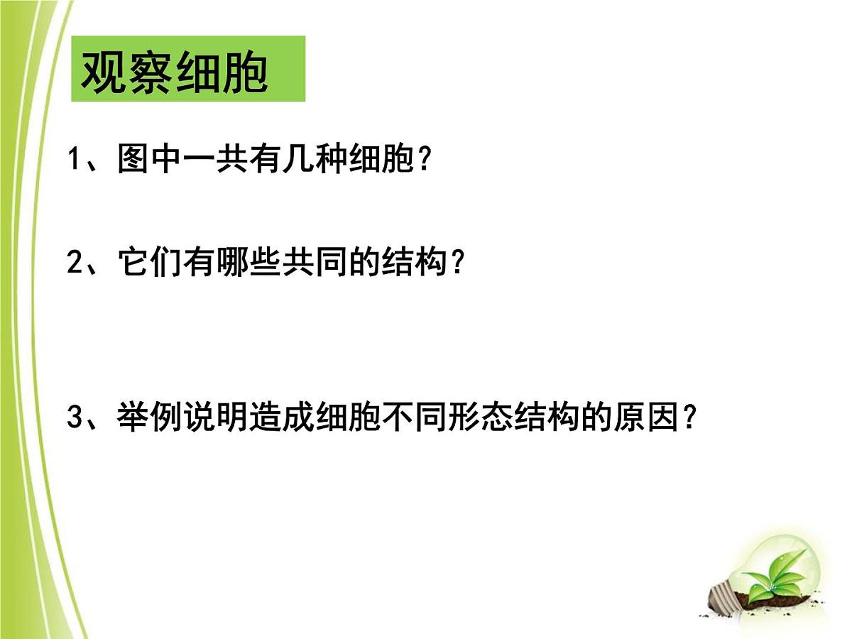 人教版 (新课标)高中生物必修1 1-2《细胞的多样性和统一性（第2课时）》课件第3页