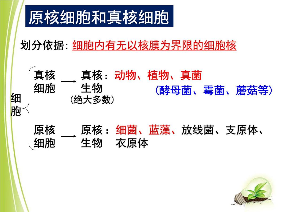 人教版 (新课标)高中生物必修1 1-2《细胞的多样性和统一性（第2课时）》课件第8页
