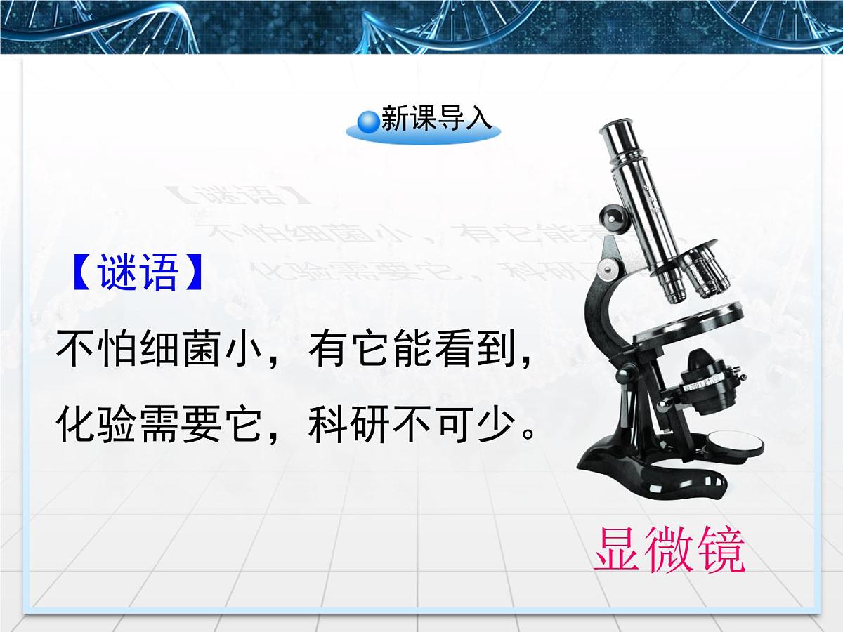 人教版 (新课标)高中生物必修1 1-2《细胞的多样性和统一性》第一课时课件第2页