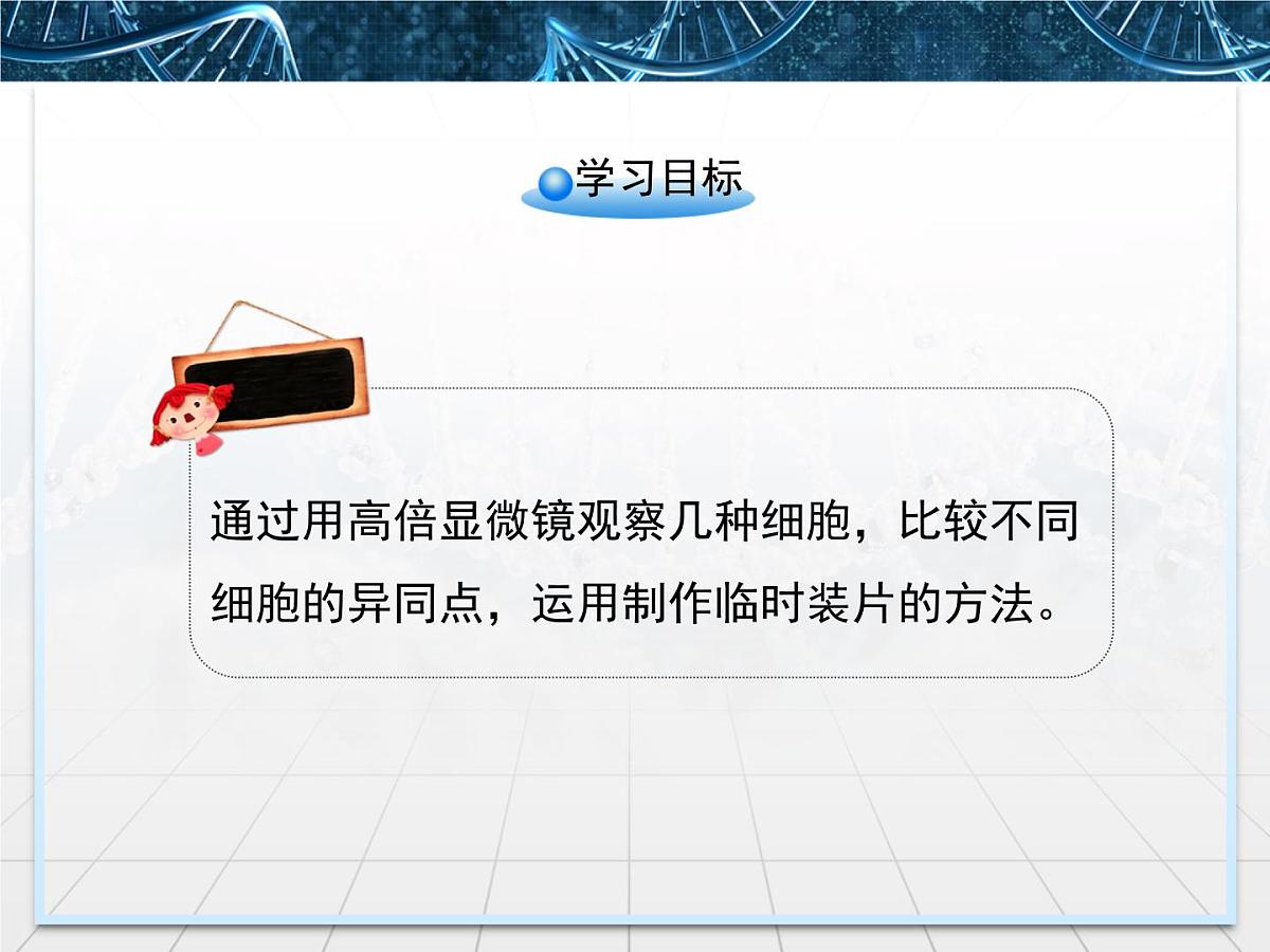 人教版 (新课标)高中生物必修1 1-2《细胞的多样性和统一性》第一课时课件第3页
