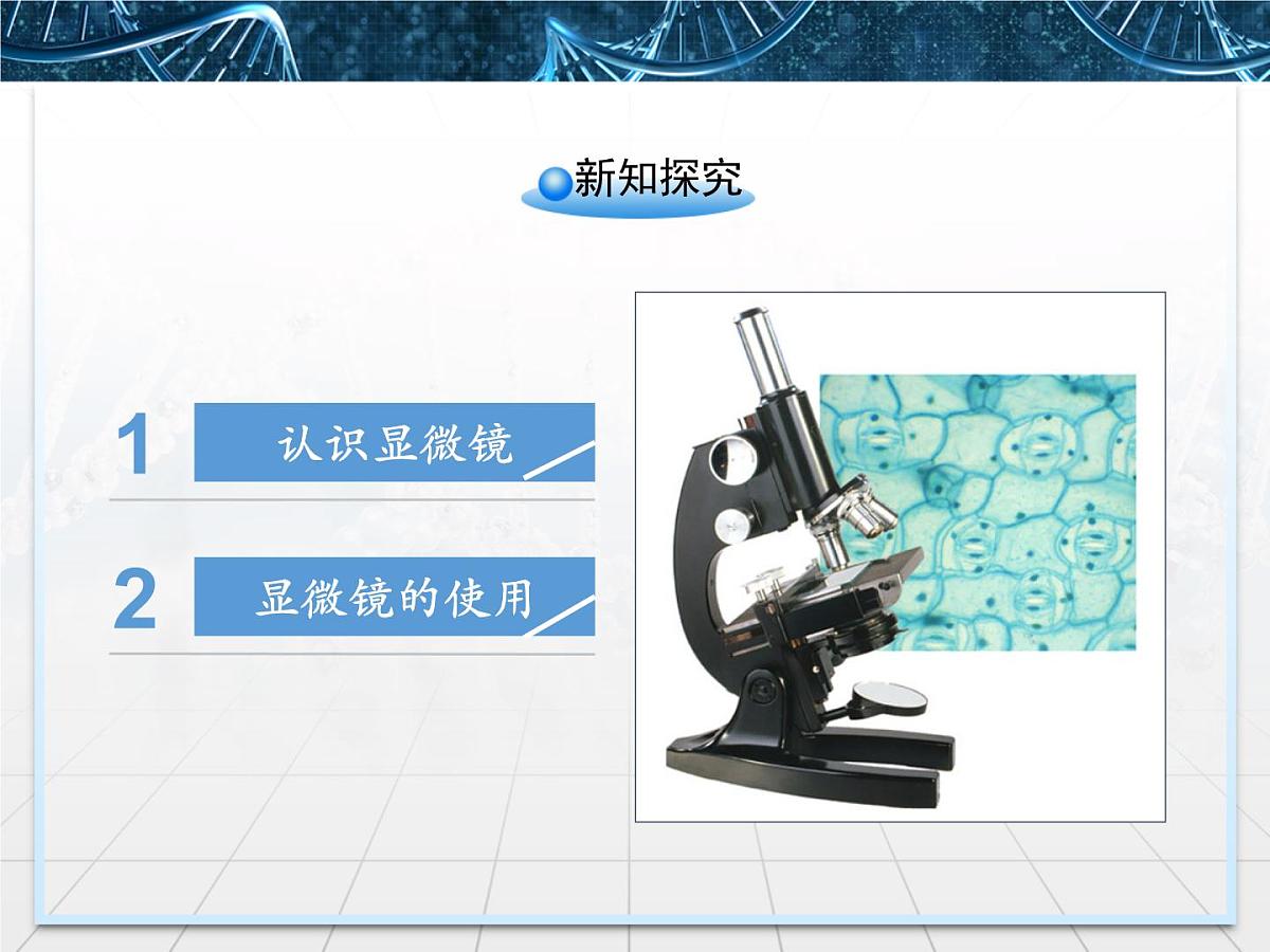 人教版 (新课标)高中生物必修1 1-2《细胞的多样性和统一性》第一课时课件第4页