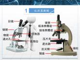 人教版 (新課標(biāo))高中生物必修1 1-2《細(xì)胞的多樣性和統(tǒng)一性》第一課時(shí)課件