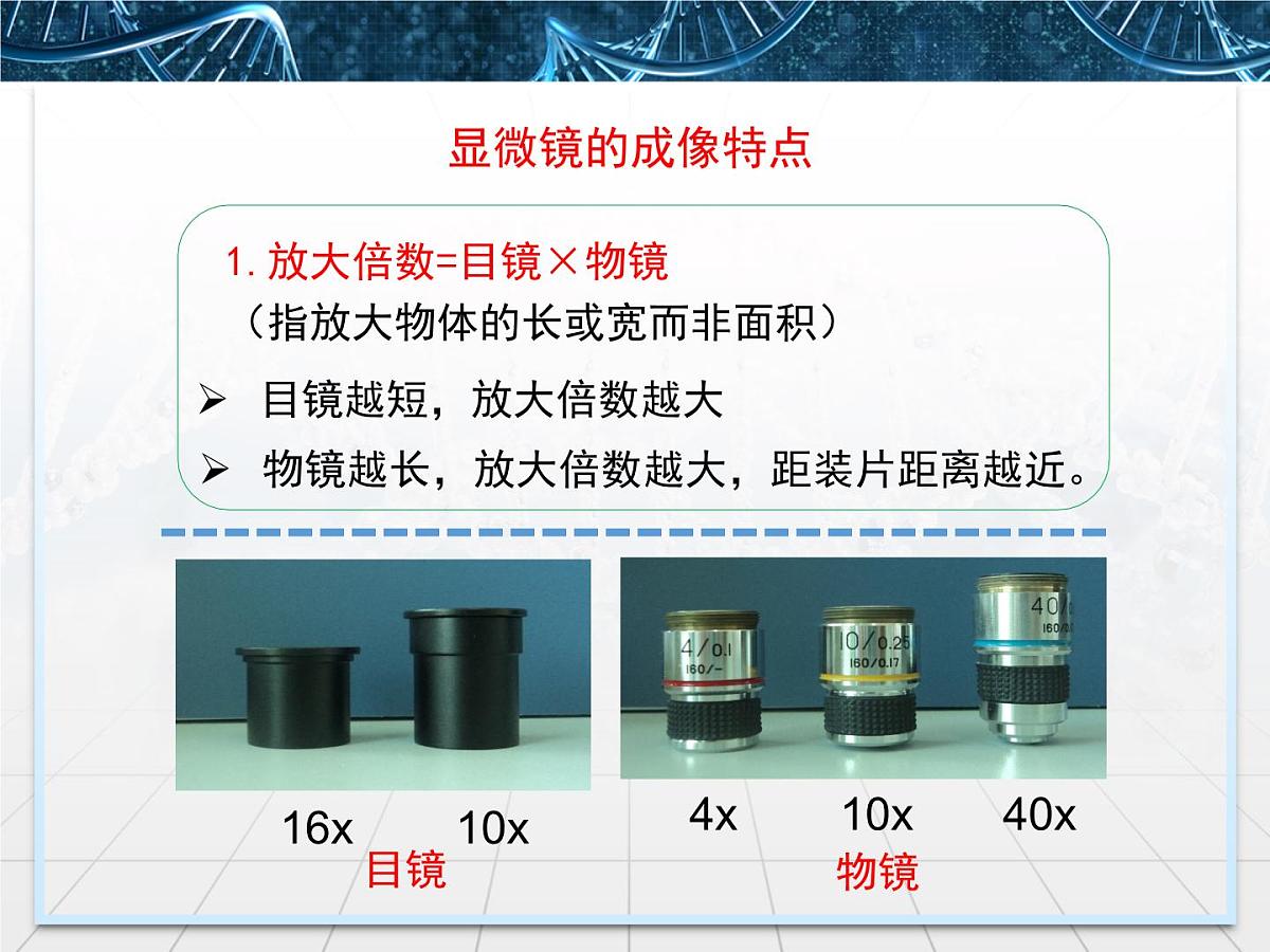 人教版 (新课标)高中生物必修1 1-2《细胞的多样性和统一性》第一课时课件第6页
