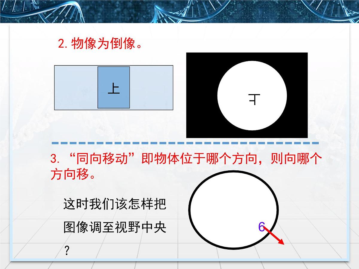 人教版 (新课标)高中生物必修1 1-2《细胞的多样性和统一性》第一课时课件第7页