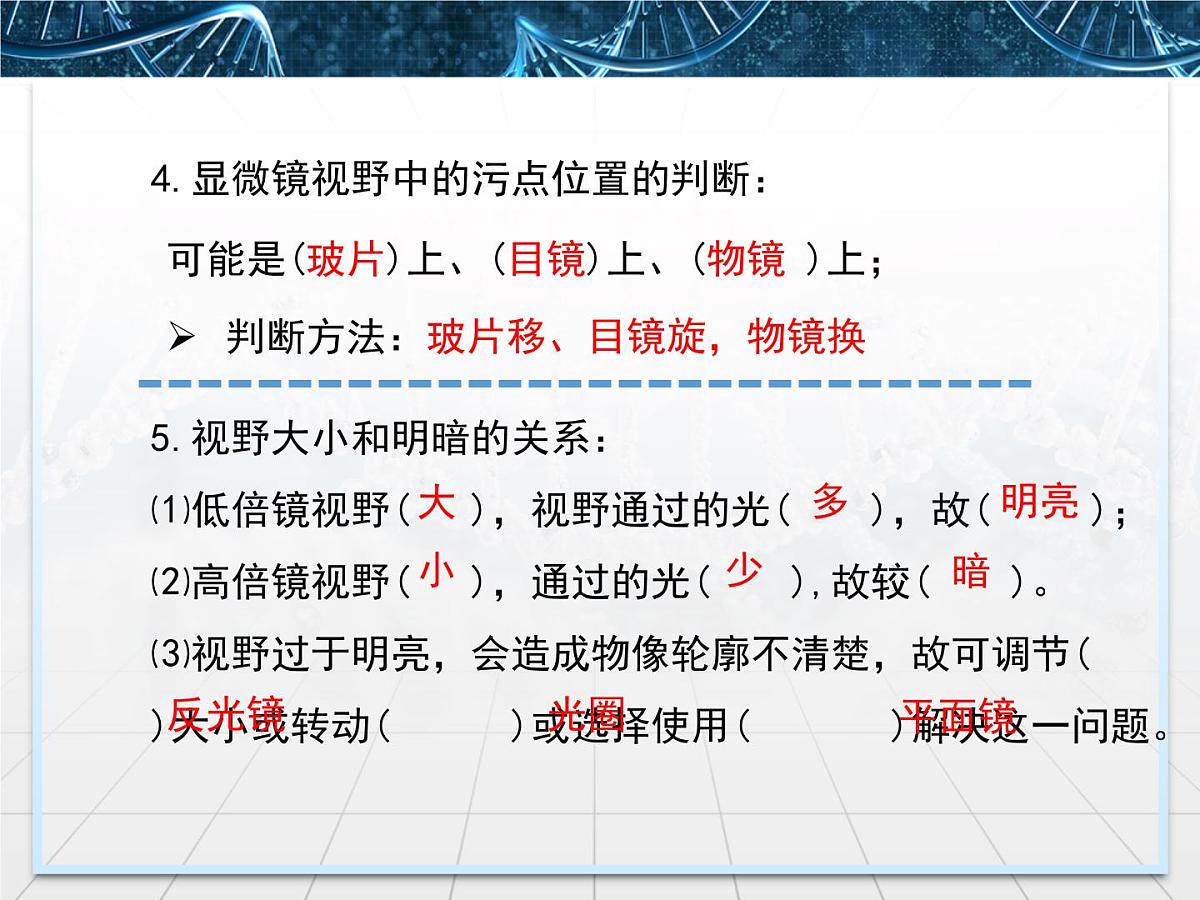 人教版 (新课标)高中生物必修1 1-2《细胞的多样性和统一性》第一课时课件第8页