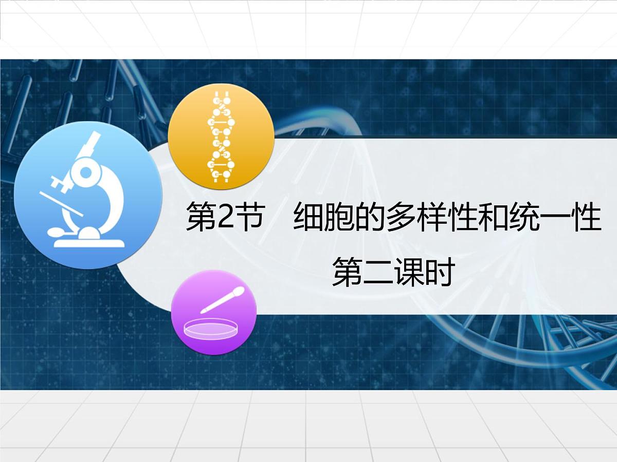 人教版 (新课标)高中生物必修1 1-2《细胞的多样性和统一性》第二课时教学课件第1页