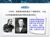 人教版 (新課標(biāo))高中生物必修1 1-2《細(xì)胞的多樣性和統(tǒng)一性》第二課時(shí)教學(xué)課件
