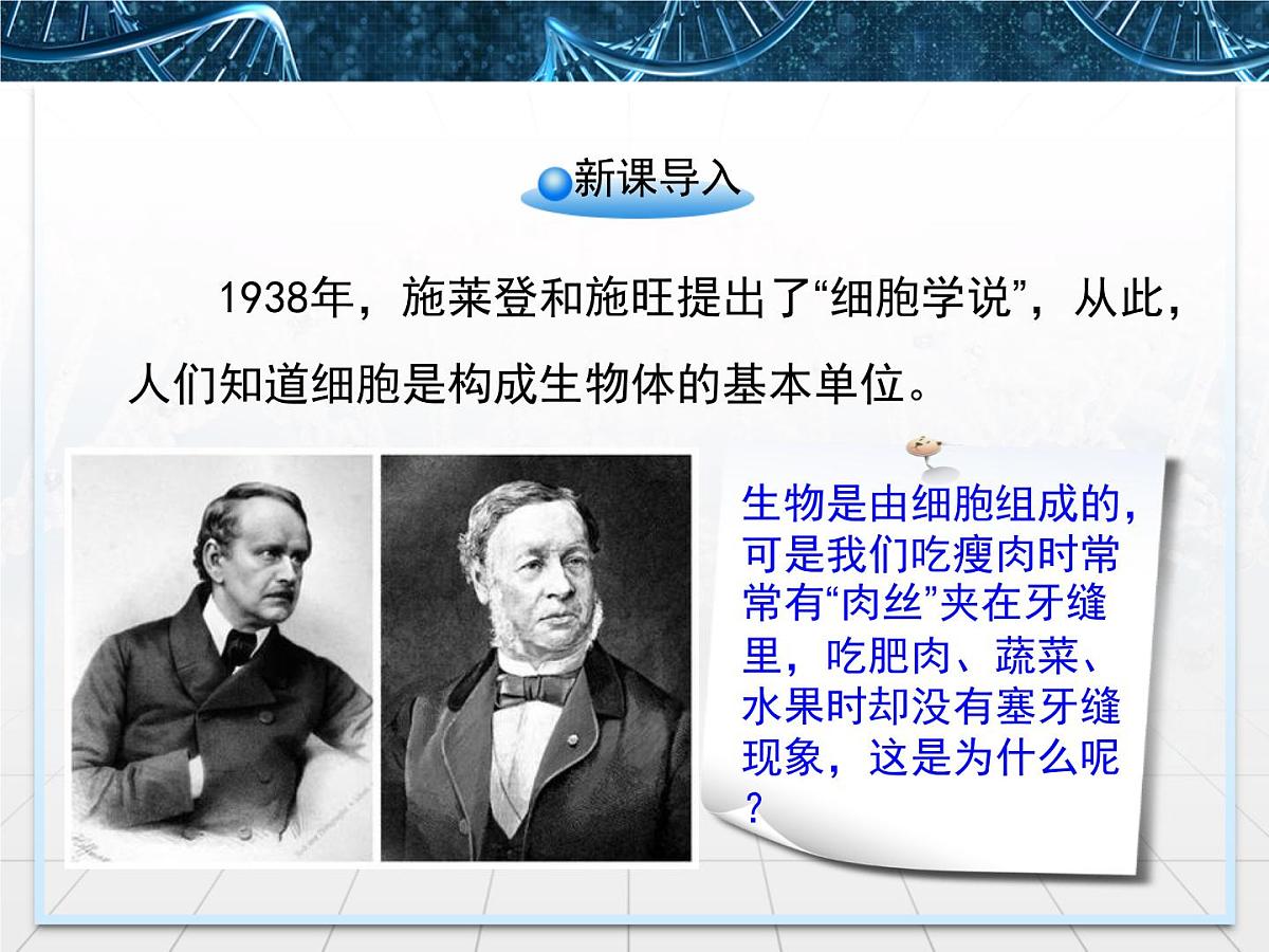 人教版 (新课标)高中生物必修1 1-2《细胞的多样性和统一性》第二课时教学课件第2页