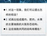 人教版 (新課標(biāo))高中生物必修1 1-2《細(xì)胞的多樣性和統(tǒng)一性》第二課時(shí)教學(xué)課件