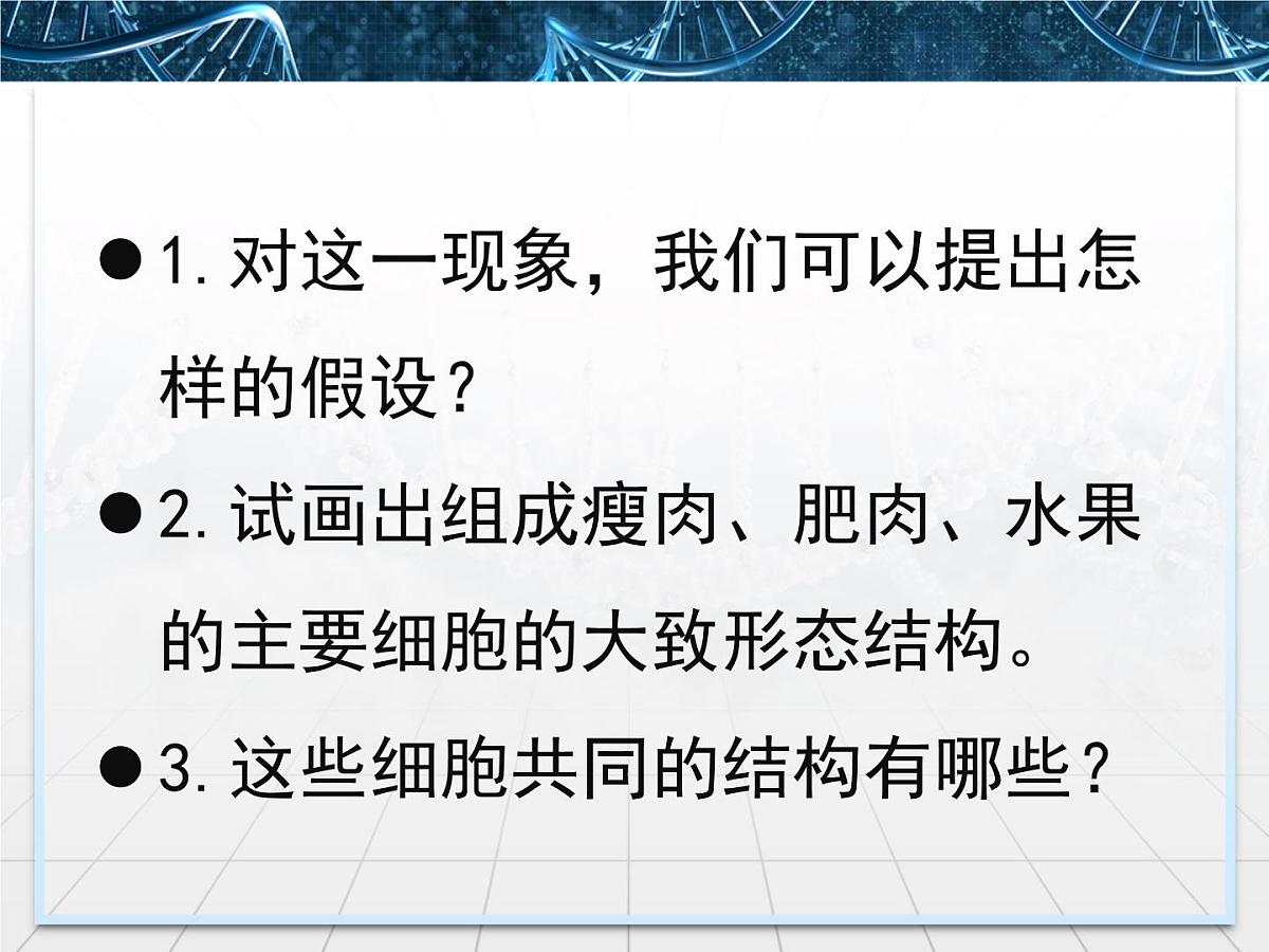 人教版 (新课标)高中生物必修1 1-2《细胞的多样性和统一性》第二课时教学课件第3页