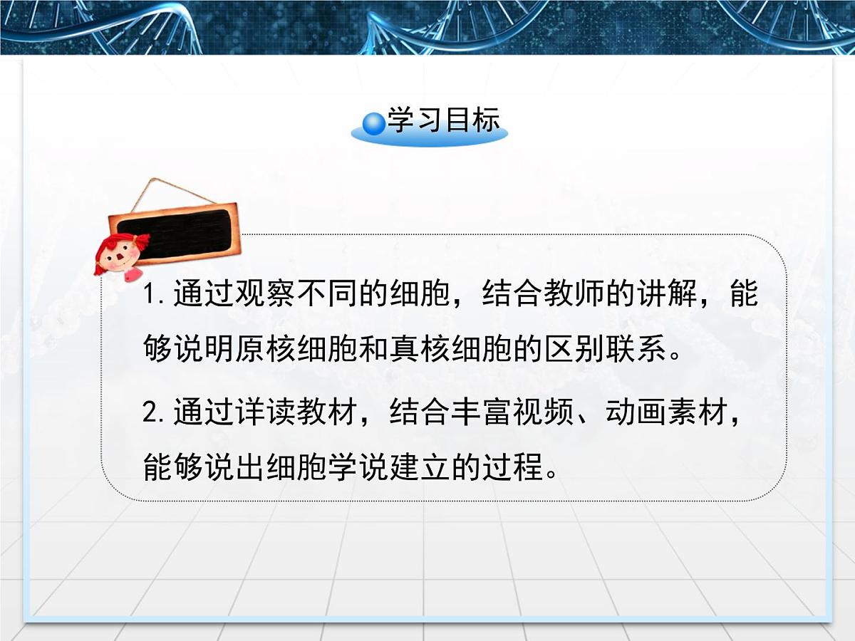人教版 (新课标)高中生物必修1 1-2《细胞的多样性和统一性》第二课时教学课件第4页