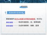 人教版 (新課標(biāo))高中生物必修1 1-2《細(xì)胞的多樣性和統(tǒng)一性》第二課時(shí)教學(xué)課件