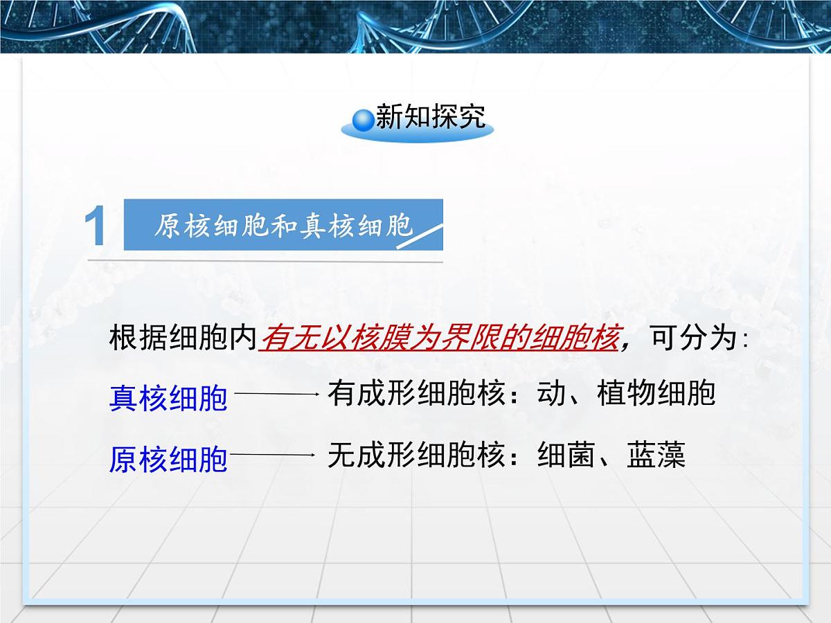 人教版 (新课标)高中生物必修1 1-2《细胞的多样性和统一性》第二课时教学课件第5页