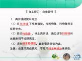 人教版 (新課標(biāo))高中生物必修1 1-2《細(xì)胞的多樣性和統(tǒng)一性》復(fù)習(xí)課件
