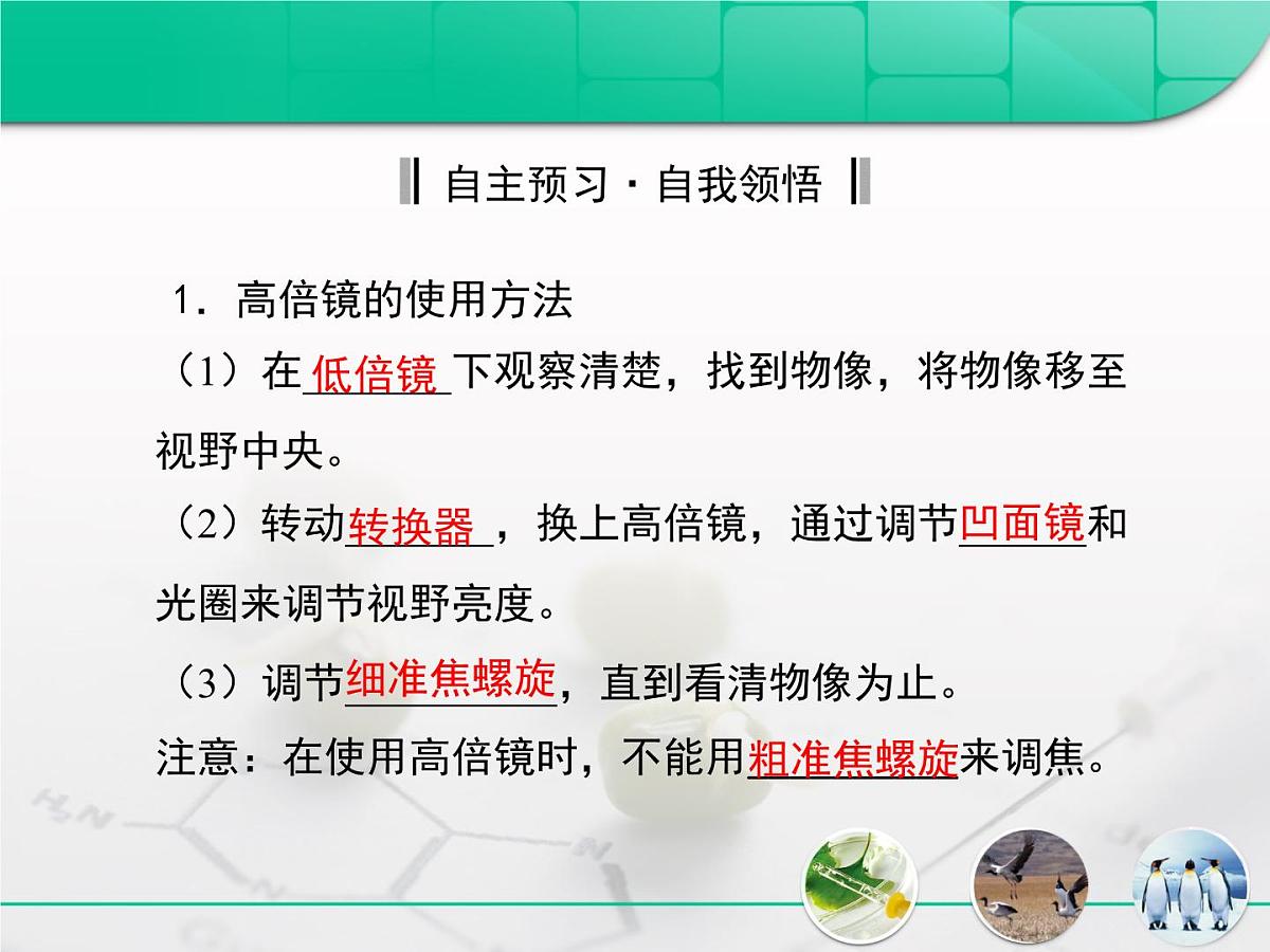 人教版 (新课标)高中生物必修1 1-2《细胞的多样性和统一性》复习课件第2页