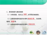 人教版 (新課標(biāo))高中生物必修1 1-2《細(xì)胞的多樣性和統(tǒng)一性》復(fù)習(xí)課件
