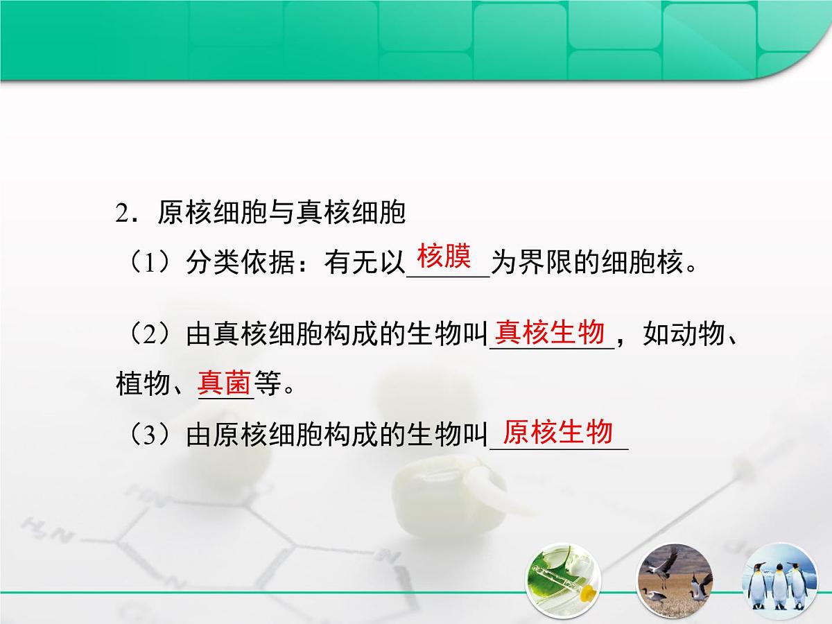 人教版 (新课标)高中生物必修1 1-2《细胞的多样性和统一性》复习课件第3页