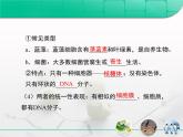 人教版 (新課標(biāo))高中生物必修1 1-2《細(xì)胞的多樣性和統(tǒng)一性》復(fù)習(xí)課件