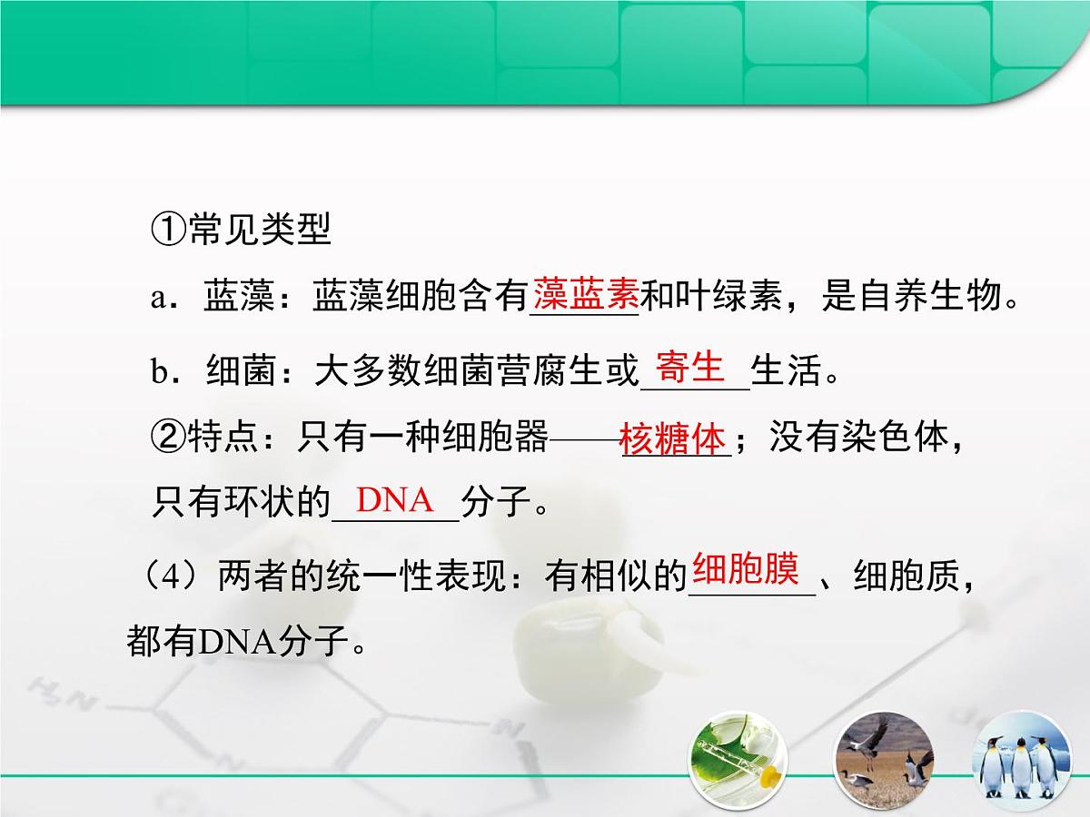人教版 (新课标)高中生物必修1 1-2《细胞的多样性和统一性》复习课件第4页