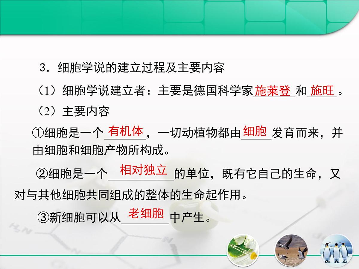 人教版 (新课标)高中生物必修1 1-2《细胞的多样性和统一性》复习课件第5页