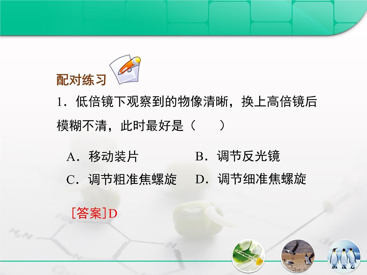 人教版 (新课标)高中生物必修1 1-2《细胞的多样性和统一性》复习课件第6页