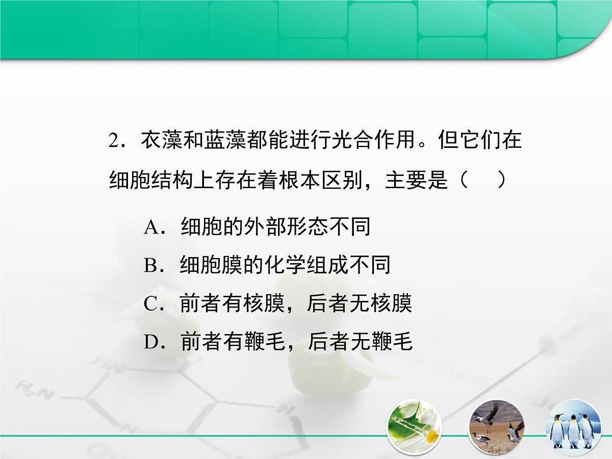 人教版 (新课标)高中生物必修1 1-2《细胞的多样性和统一性》复习课件第7页