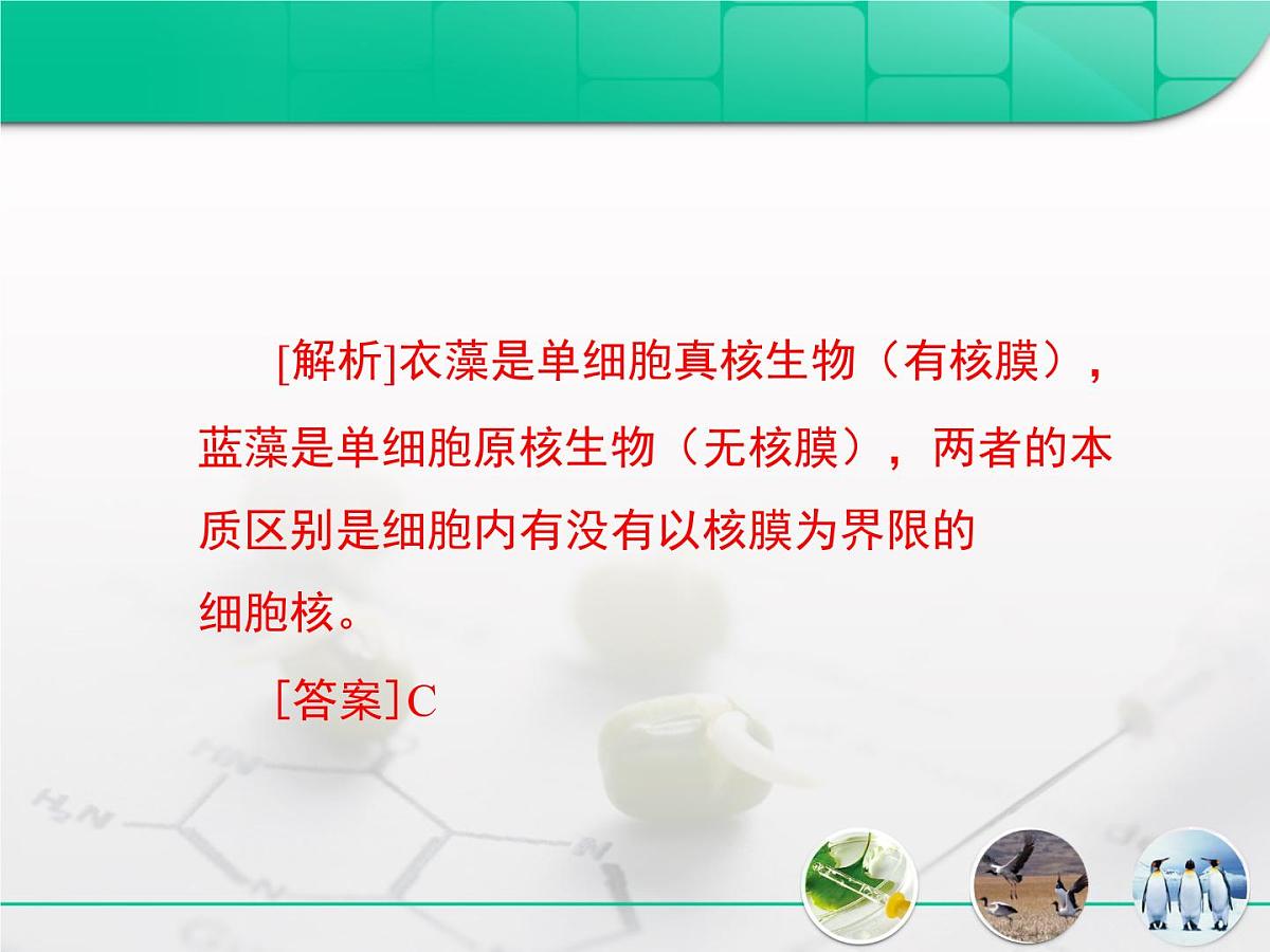 人教版 (新课标)高中生物必修1 1-2《细胞的多样性和统一性》复习课件第8页