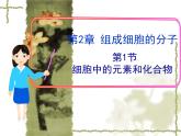 人教版 (新課標(biāo))高中生物必修1  2-1《細(xì)胞中的元素和化合物》課件