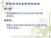 人教版 (新課標(biāo))高中生物必修1  2-1《細(xì)胞中的元素和化合物》課件