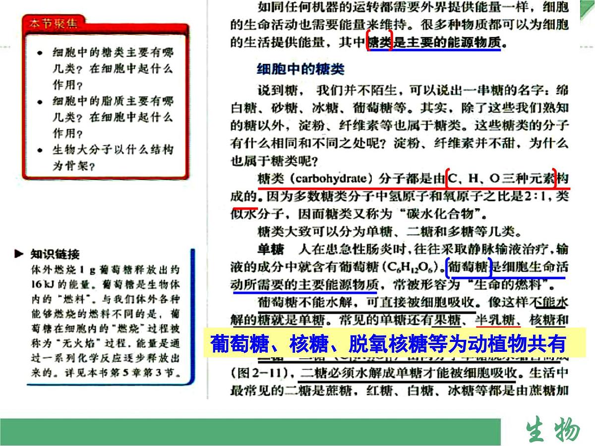 人教版 (新课标)高中生物必修1  2-4《细胞中的糖类和脂质》课件第6页
