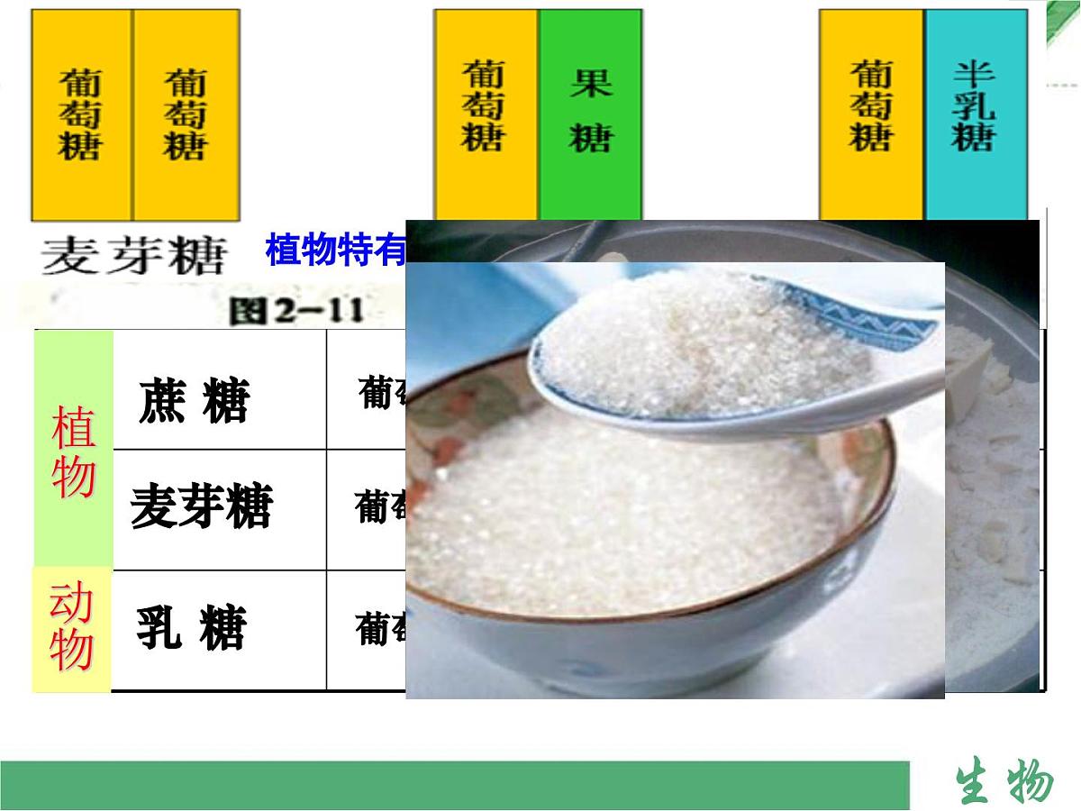 人教版 (新课标)高中生物必修1  2-4《细胞中的糖类和脂质》课件第7页