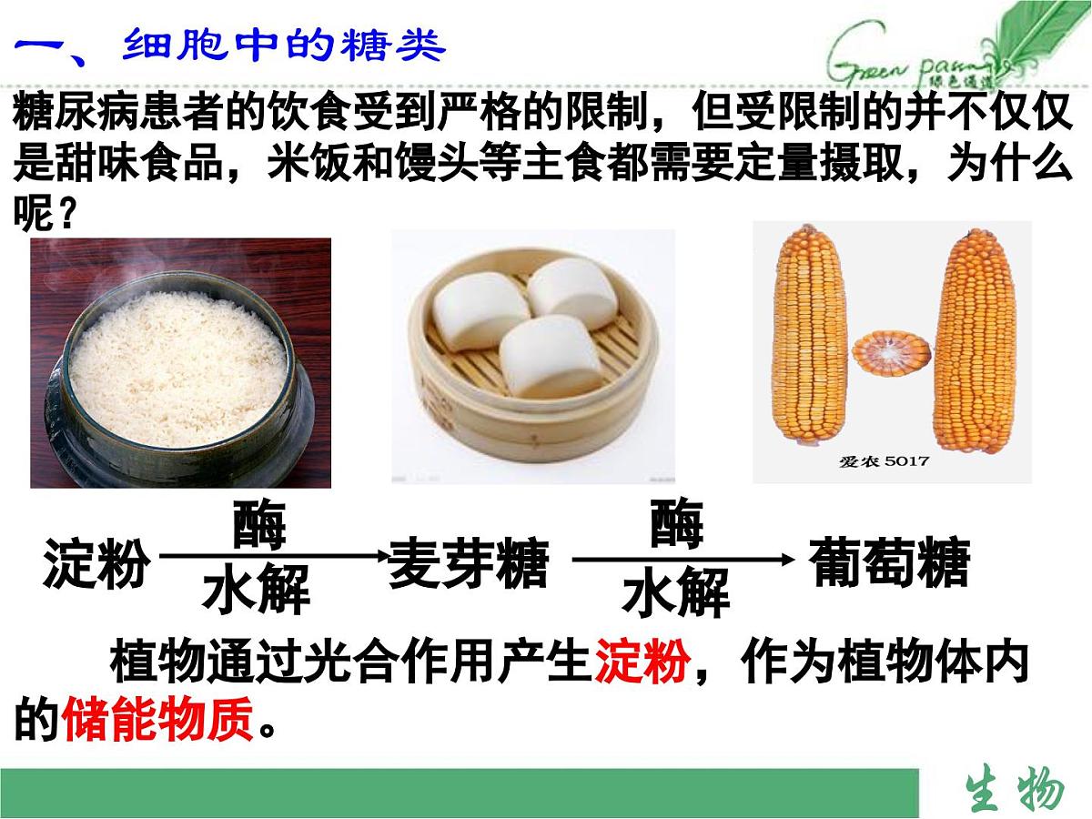 人教版 (新课标)高中生物必修1  2-4《细胞中的糖类和脂质》课件第8页