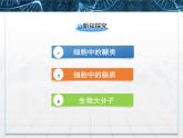 人教版 (新課標(biāo))高中生物必修1  2-4《細(xì)胞中的糖類和脂質(zhì)》課件