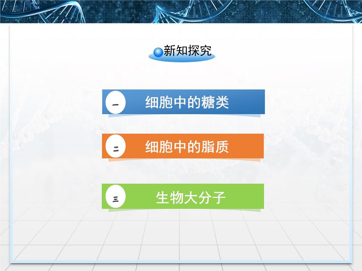 人教版 (新课标)高中生物必修1  2-4《细胞中的糖类和脂质》课件第5页
