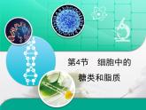 《人教版 (新課標(biāo))高中生物必修1  2-4細(xì)胞中的糖類和脂質(zhì)》復(fù)習(xí)課件