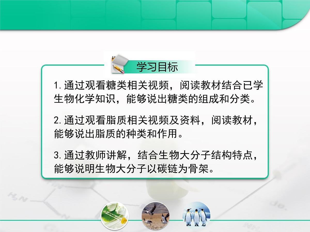 《人教版 (新课标)高中生物必修1  2-4细胞中的糖类和脂质》复习课件第2页