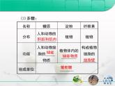 《人教版 (新課標(biāo))高中生物必修1  2-4細(xì)胞中的糖類和脂質(zhì)》復(fù)習(xí)課件