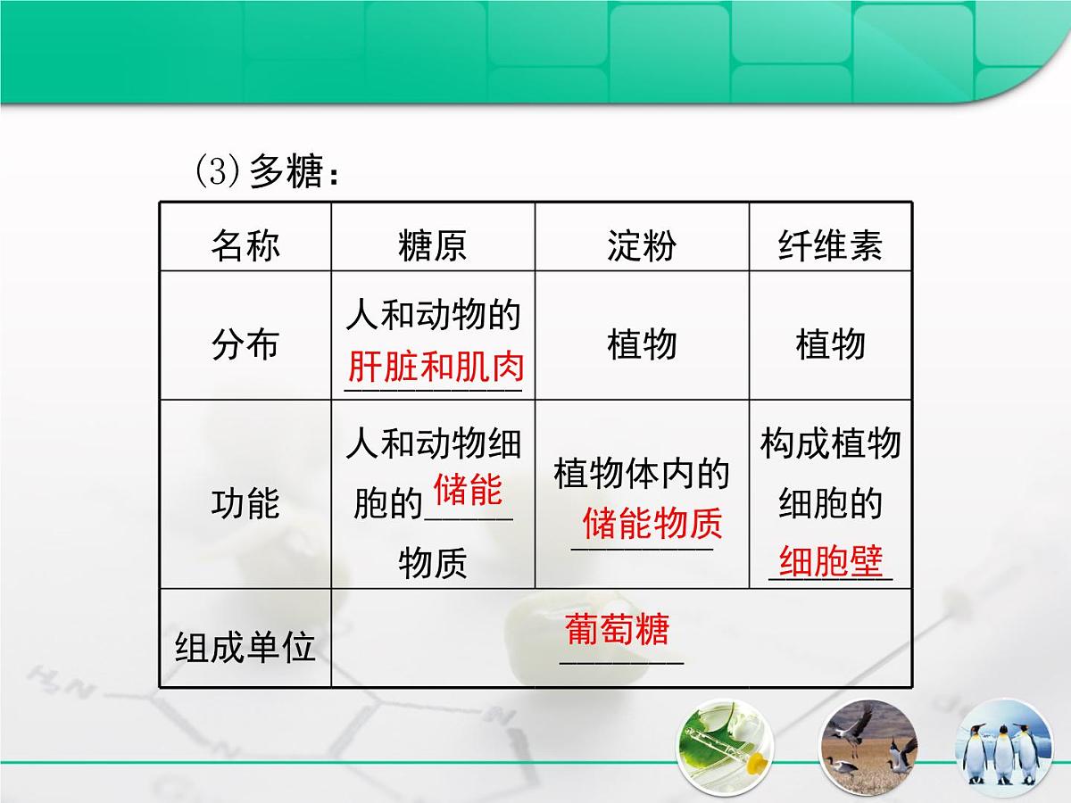《人教版 (新课标)高中生物必修1  2-4细胞中的糖类和脂质》复习课件第5页