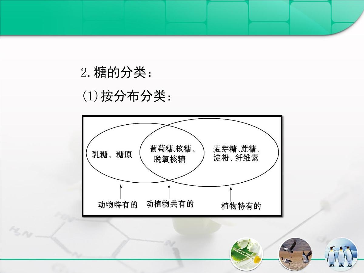 《人教版 (新课标)高中生物必修1  2-4细胞中的糖类和脂质》复习课件第7页