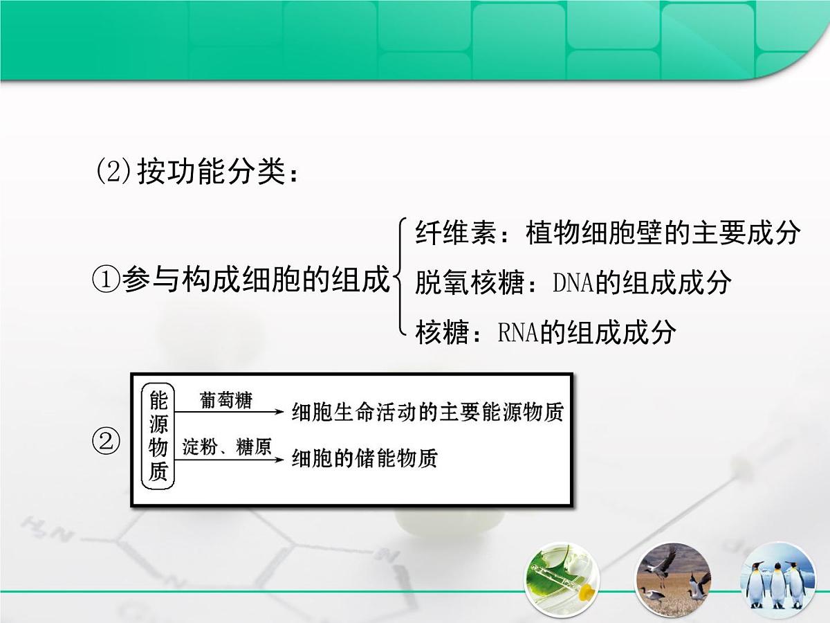《人教版 (新课标)高中生物必修1  2-4细胞中的糖类和脂质》复习课件第8页