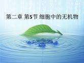人教版 (新課標)高中生物必修1  2-5《細胞中的無機物》課件