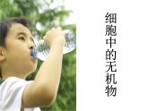 人教版 (新課標)高中生物必修1  2-5《細胞中的無機物》課件
