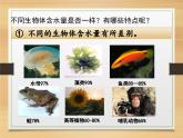 人教版 (新課標)高中生物必修1  2-5《細胞中的無機物》課件