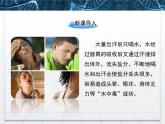 人教版 (新課標)高中生物必修1  2-5《細胞中的無機物》課件